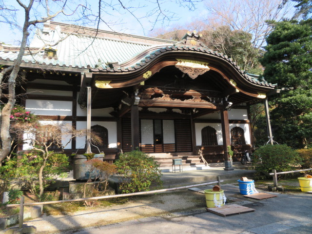 妙本寺の本堂５