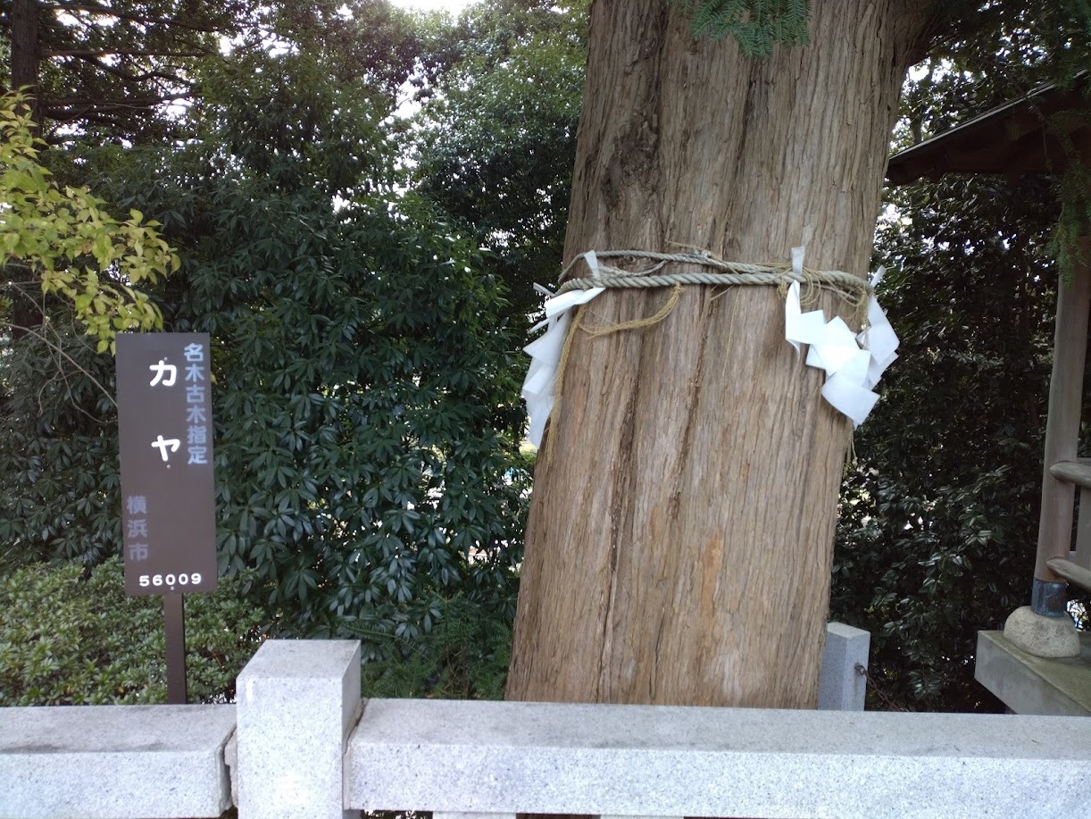 神鳥前川神社の境内３