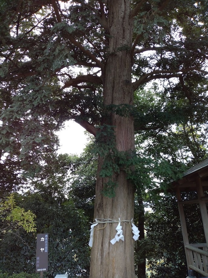 神鳥前川神社の境内４