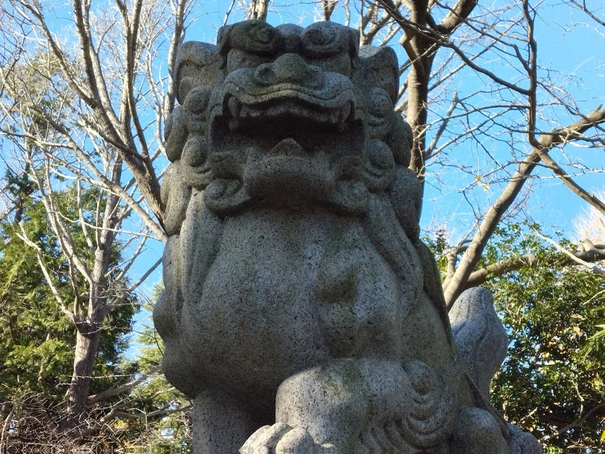 小杉神社の境内２