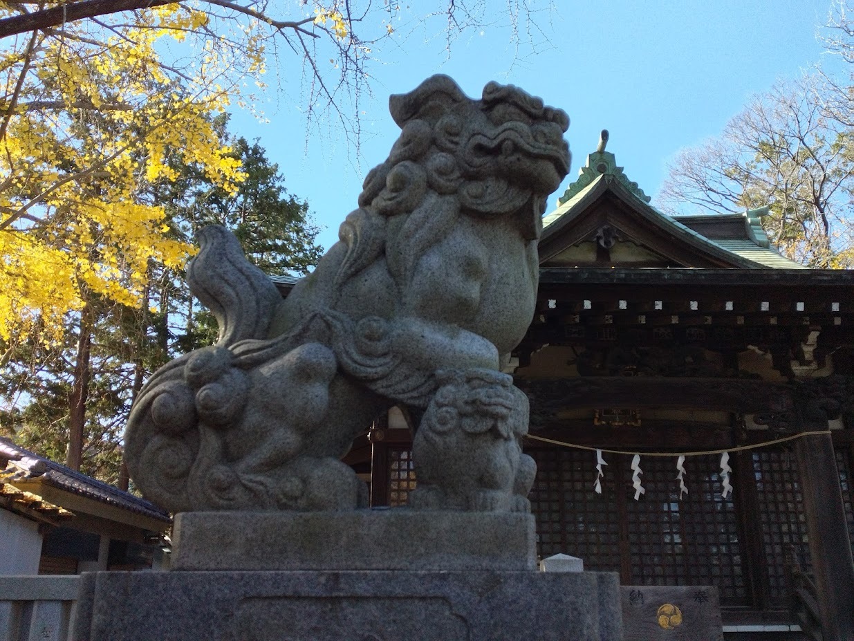小杉神社の境内３