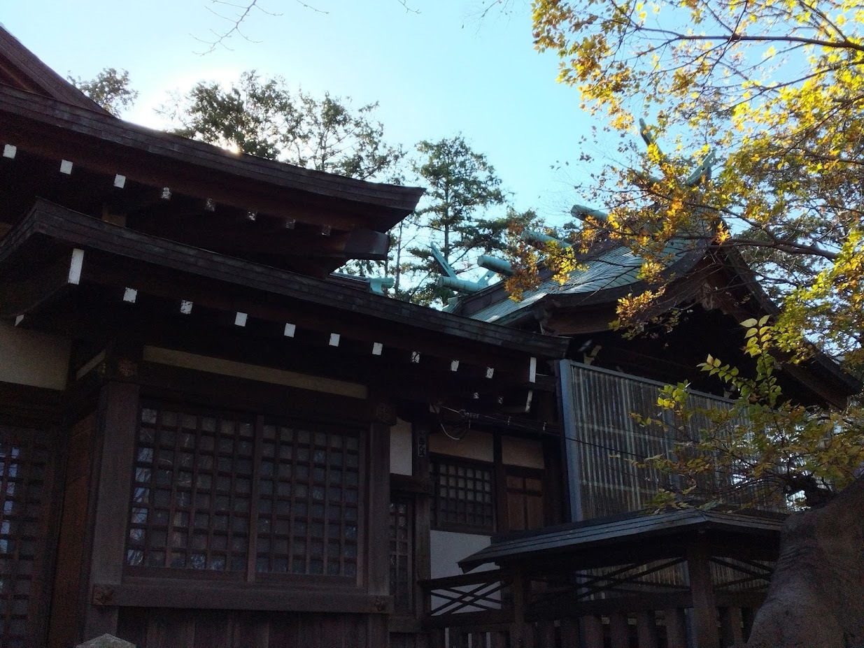 小杉神社の社殿８