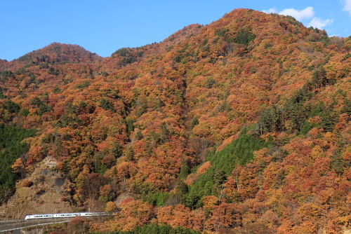 IMG_3519.jpg