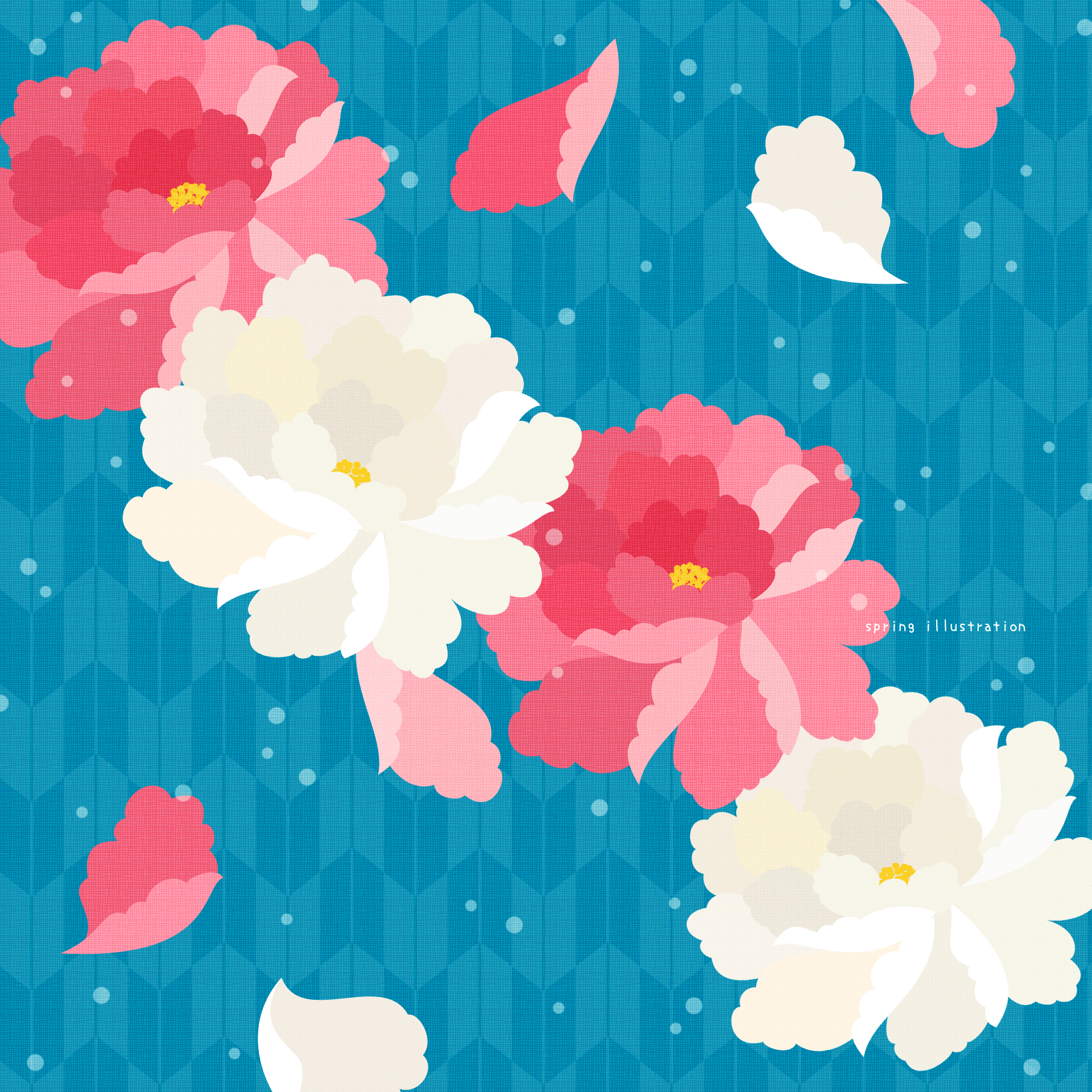 【冬牡丹】冬の花のイラストましかく壁紙・背景