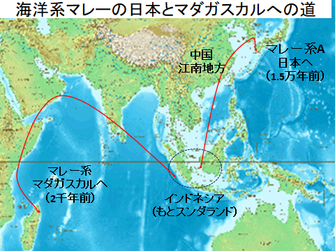 海洋系マレーの日本とマダガスカルへの道
