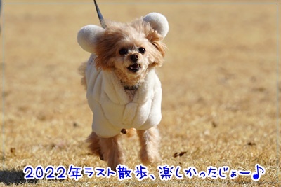 DSC00143.jpg