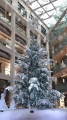 東京丸の内のツリー（Winter Forest Christmas）