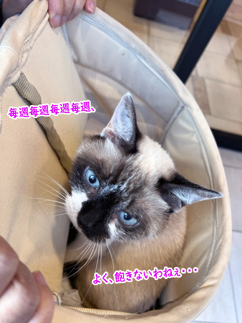 また２