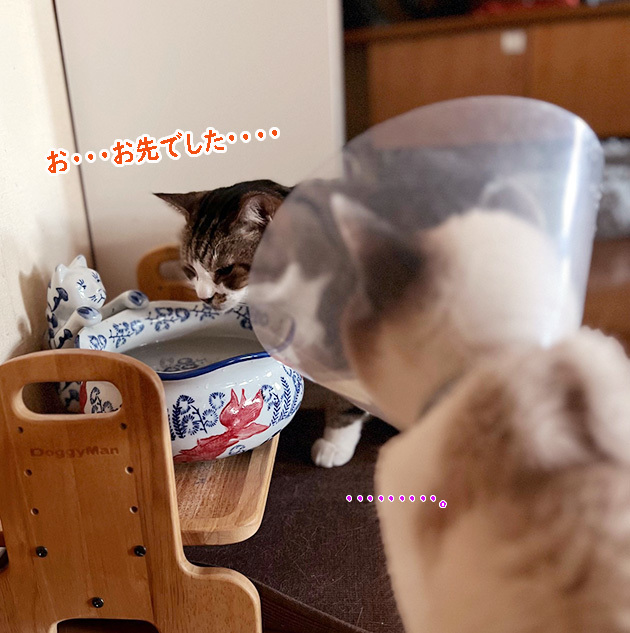水前のドラマ３