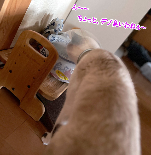 水前のドラマ５