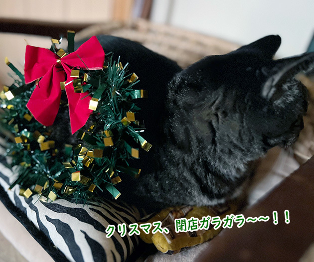 メイワクリースマス５