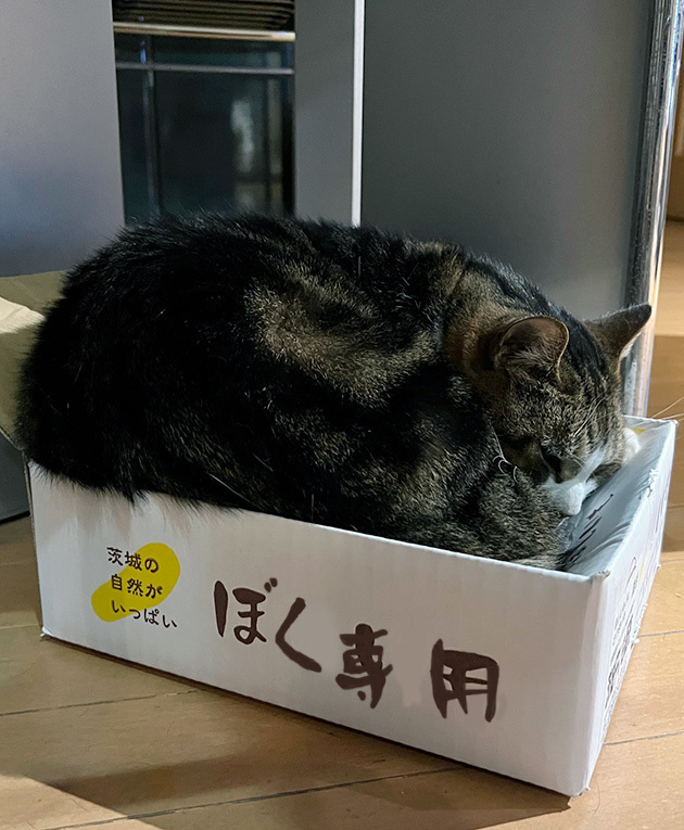 ブログチェツク３